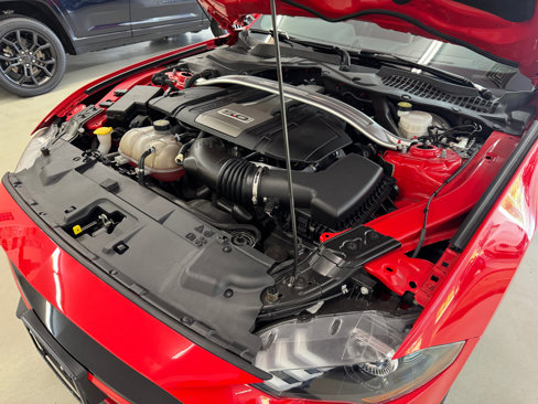Used 2019 Ford Mustang GT Premium w/ Equipment Group 401A image 21