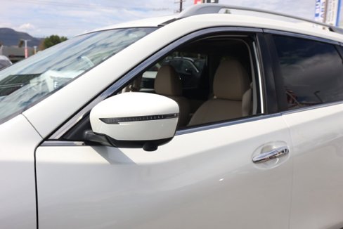Used 2016 Nissan Rogue SL w/ SL Premium Package image 12