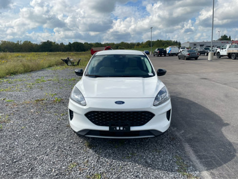 Used 2022 Ford Escape SE w/ Convenience Package image 2