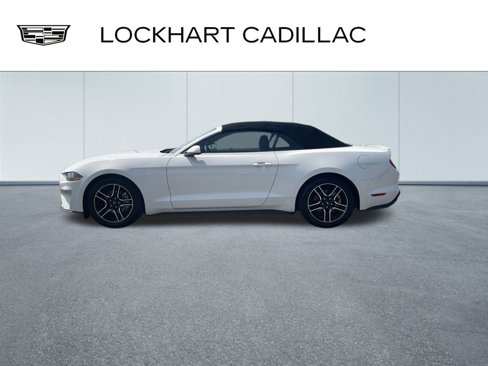Used 2023 Ford Mustang Premium image 5