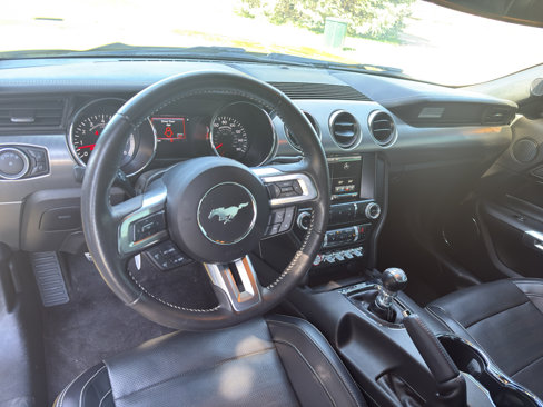 Used 2015 Ford Mustang GT Premium w/ 50 Years Appearance Package image 10