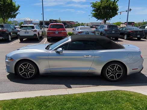 Used 2021 Ford Mustang Premium image 7