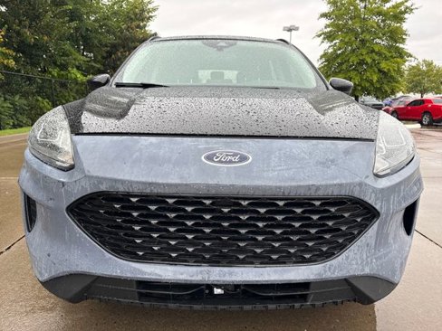 Used 2022 Ford Escape SE w/ SE Sport Appearance Package image 8