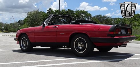 Used 1986 Alfa Romeo Spider Graduate image 4