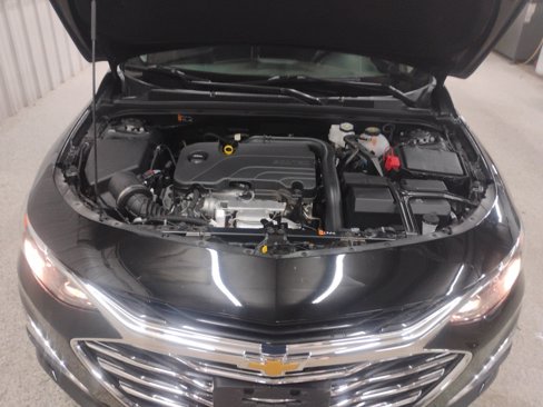 Used 2024 Chevrolet Malibu LT image 7