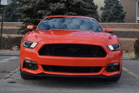 Used 2015 Ford Mustang GT Premium w/ Equipment Group 401A image 8