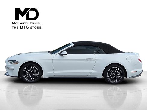 Used 2019 Ford Mustang Premium image 3