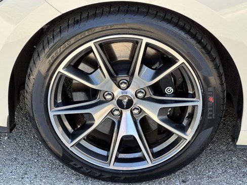 Used 2015 Ford Mustang 50 Years image 12