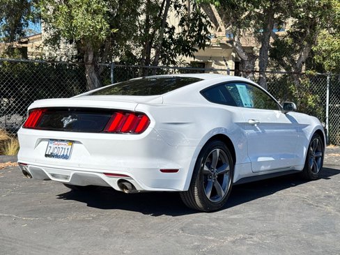 Used 2015 Ford Mustang Coupe w/ Equipment Group 051A image 12