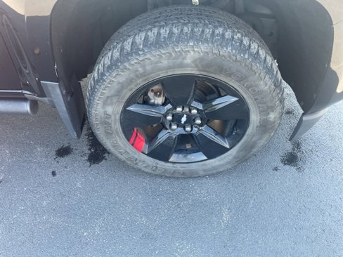 Used 2019 Chevrolet Colorado LT w/ Redline Special Edition image 22