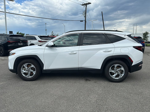 Used 2024 Hyundai Tucson SEL image 5