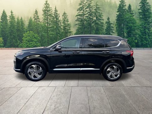 Used 2021 Hyundai Santa Fe SEL w/ Convenience + Premium Package image 2