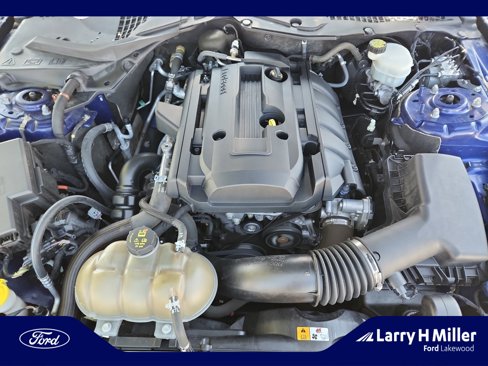 Used 2016 Ford Mustang Premium w/ Equipment Group 201A image 21
