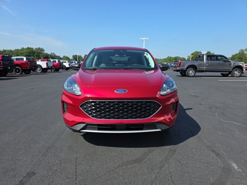 Certified 2022 Ford Escape SE w/ Convenience Package image 8