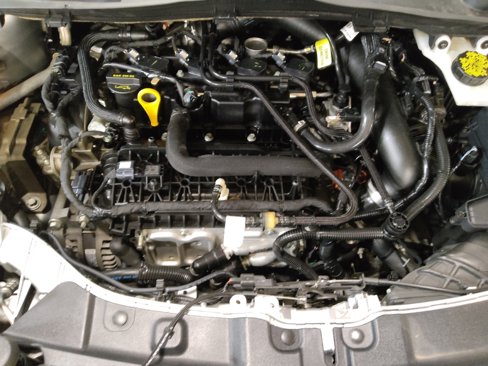 Used 2019 Ford Escape SE image 30