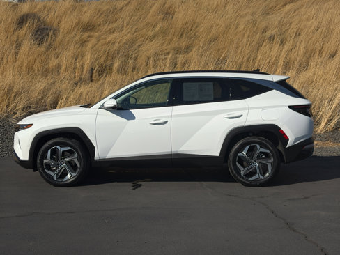 Used 2023 Hyundai Tucson Limited image 5