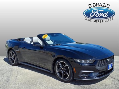 Used 2024 Ford Mustang Premium image 1