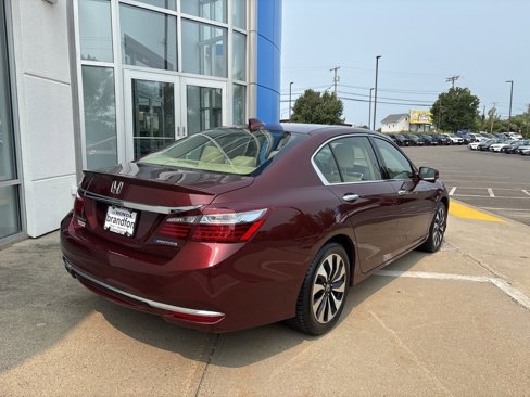 Used 2017 Honda Accord EX-L image 6
