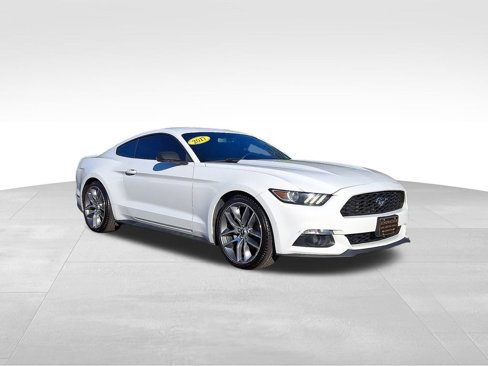 Used 2017 Ford Mustang Premium w/ Equipment Group 201A image 1