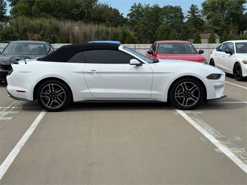 Used 2021 Ford Mustang Premium image 2