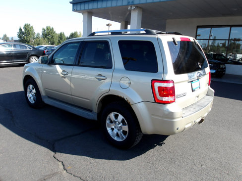 Used 2010 Ford Escape Limited image 3
