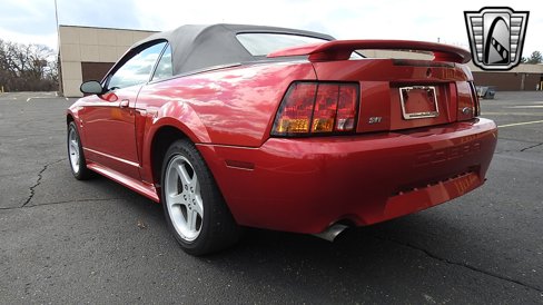 Used 2001 Ford Mustang Cobra image 3