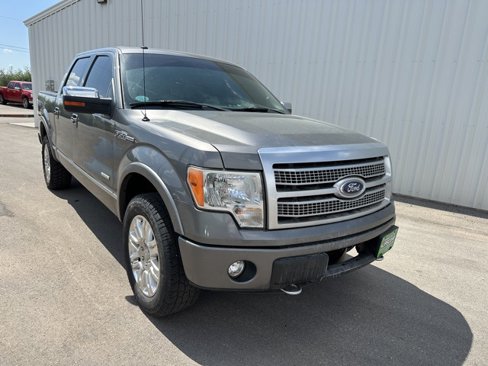Used 2011 Ford F150 Platinum image 1