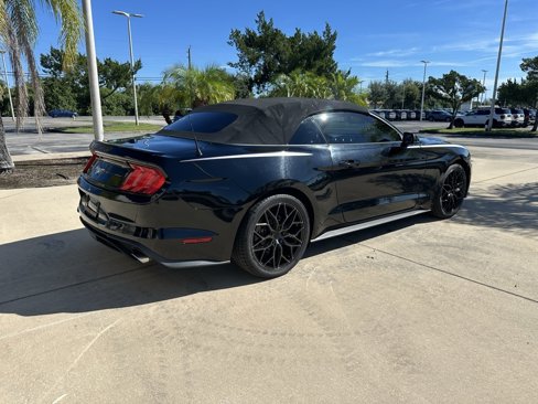 Used 2019 Ford Mustang Premium w/ Equipment Group 201A image 5