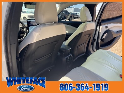 Used 2021 Ford Mustang Mach-E Premium image 19
