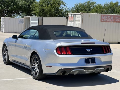 Used 2017 Ford Mustang Premium image 7