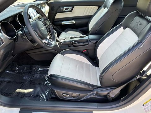 Used 2015 Ford Mustang 50 Years image 22
