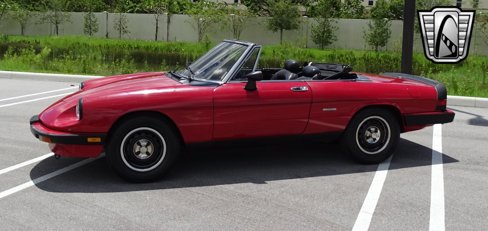Used 1986 Alfa Romeo Spider Graduate image 26