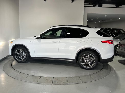 Used 2022 Alfa Romeo Stelvio Ti image 13