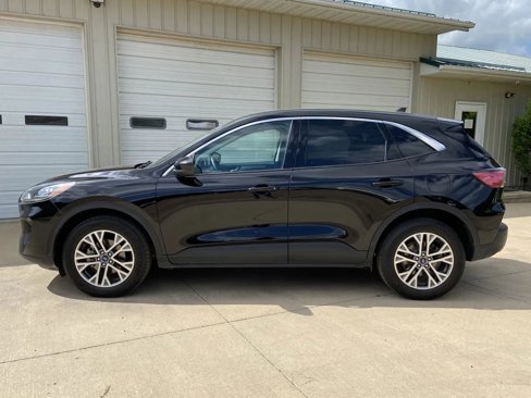 Used 2022 Ford Escape SEL image 4