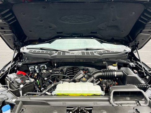 Used 2024 Ford F150 XLT image 14