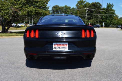 Used 2016 Ford Mustang Coupe w/ Equipment Group 051A image 14