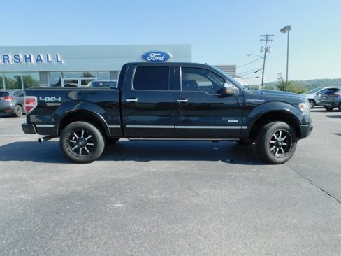 Used 2014 Ford F150 Platinum image 9