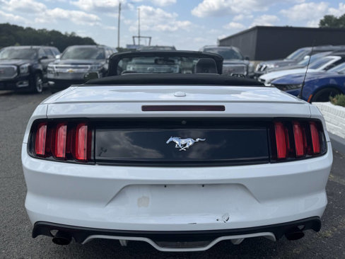 Used 2017 Ford Mustang Premium image 5