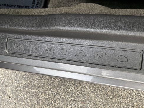 Used 2014 Ford Mustang GT w/ Equipment Group 301A image 16