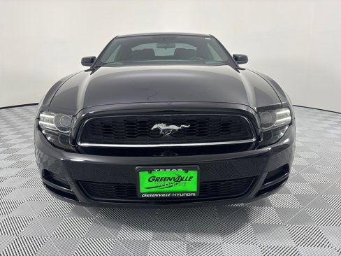 Used 2014 Ford Mustang Coupe w/ FP6 Appearance Package image 6