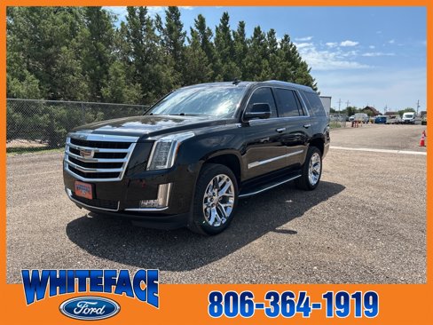 Used 2018 Cadillac Escalade Luxury image 1
