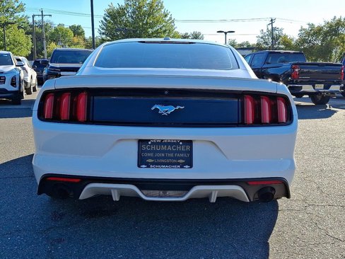 Used 2017 Ford Mustang Premium w/ Equipment Group 201A image 5