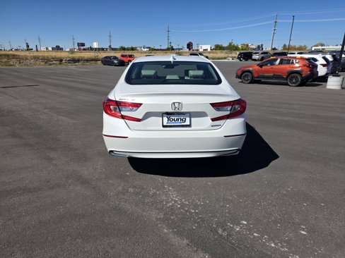 Used 2019 Honda Accord EX-L image 7