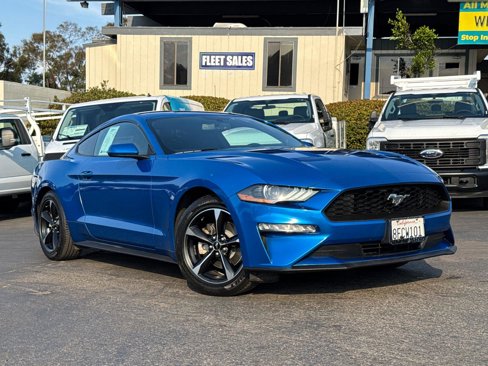Used 2019 Ford Mustang Coupe w/ Equipment Group 101A image 2