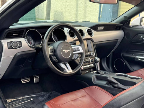 Used 2015 Ford Mustang Premium image 10
