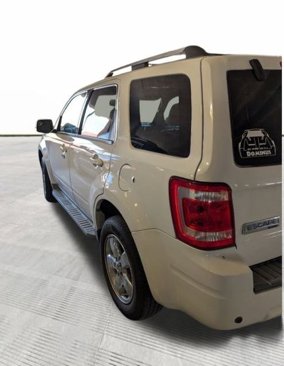 Used 2011 Ford Escape Limited w/ 302A Rapid Spec Order Code image 2
