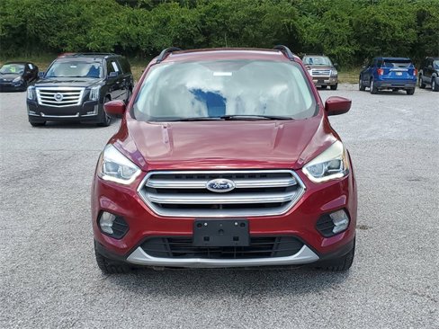 Used 2017 Ford Escape SE w/ Equipment Group 201A image 2