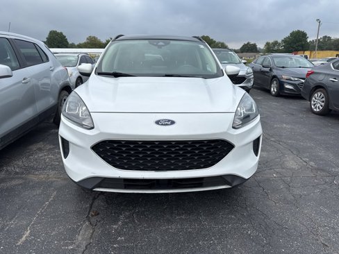 Used 2020 Ford Escape SE image 2