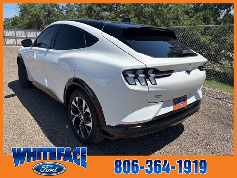 Used 2021 Ford Mustang Mach-E Premium image 4