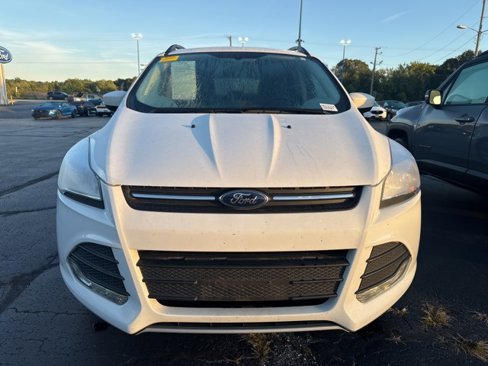 Used 2016 Ford Escape SE w/ Equipment Group 201A image 2
